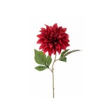 7-007 RED
